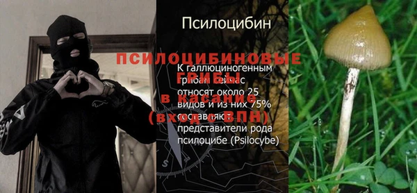 каннабис Покачи