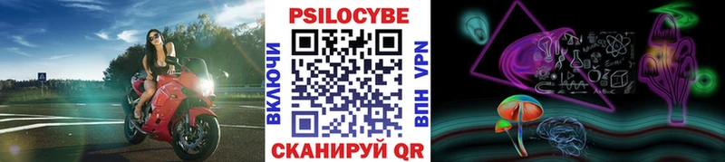 Галлюциногенные грибы GOLDEN TEACHER  где можно купить   Алдан 